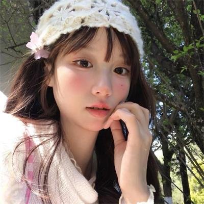 菜鸟囧探