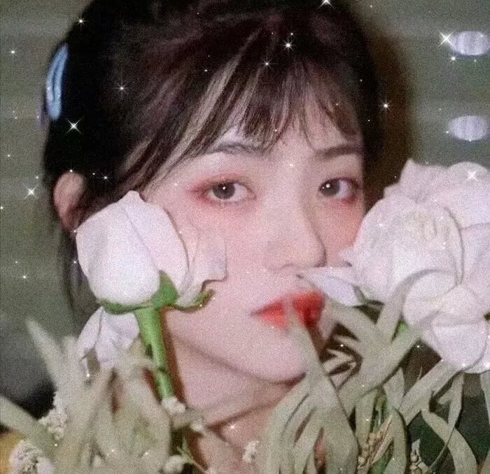 我最爱的女人们 宝藏版